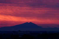 01-2019012004003-1-1.jpg (39853 バイト)