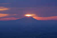 01-2019013104193-1.jpg (31381 バイト)