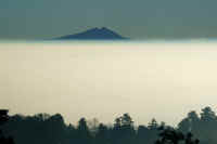 01-2021011302242-1.jpg (37140 �o�C�g)