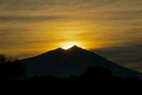 01-2022011704796-2.jpg (36031 �o�C�g)