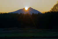 01-2023012906682-2-2.jpg (98374 �o�C�g)