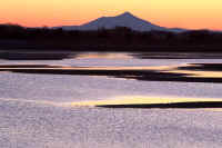 02-2008021600900-1.jpg (68865 �o�C�g)