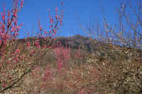 02-2017021504730-1.jpg (160970 �o�C�g)