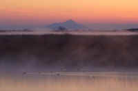 02-2017022604837-1.jpg (37480 �o�C�g)