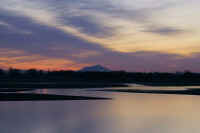 02-2018021908898.jpg (42716 バイト)