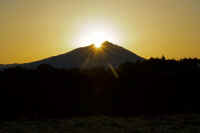 02-2019020304315-1.jpg (35419 �o�C�g)