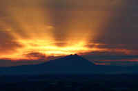 02-2019021504439-1.jpg (37027 バイト)