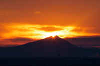 02-2019021504451-1.jpg (34448 バイト)