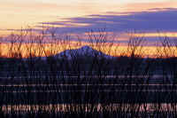 02-2020021000119-1.jpg (109171 �o�C�g)