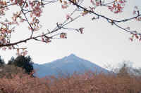 02-2023021702250.jpg (97086 �o�C�g)