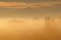 03-2010032707706.jpg (58954 バイト)