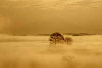 03-2016032209613-1.jpg (37843 �o�C�g)