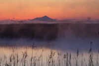 03-2017031704976-1.jpg (51824 バイト)