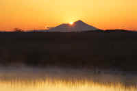 03-2017031705002.jpg (37213 バイト)