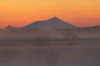 03-2019031804990-2.jpg (25439 バイト)