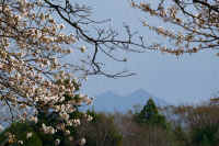 03-2021032603170-1-1-2-1.jpg (129089 �o�C�g)