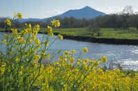 04-2014040506617-1.jpg (128436 �o�C�g)