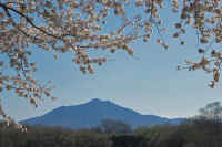 04-2014040506634-1.jpg (105750 �o�C�g)