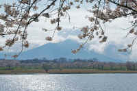 04-2014040506842.jpg (124661 バイト)