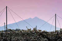 04-2014041707071-01-1.jpg (75420 �o�C�g)