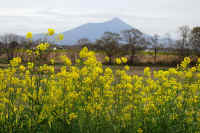 04-2015040430350.jpg (135333 �o�C�g)