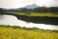 04-2015040903704-1.jpg (86265 �o�C�g)