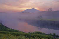 04-2016040600124.jpg (58463 �o�C�g)