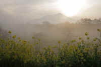 04-2016040600173.jpg (61536 バイト)