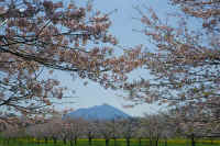 04-2017041305793-1.jpg (170042 �o�C�g)