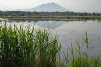 05-2005052105100-1.jpg (67295 �o�C�g)