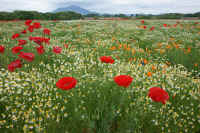 05-2009051602516.jpg (154419 �o�C�g)