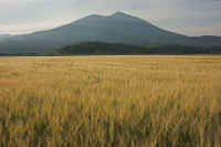 05-2015052204358-1.jpg (80144 �o�C�g)