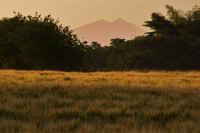 05-2015052304405-3p.jpg (65036 バイト)