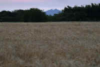 05-2016052000033-1-1.jpg (76398 �o�C�g)