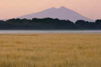 05-2018052200292-2.jpg (46508 �o�C�g)