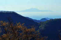 05-2019050805856-2-1.jpg (65667 �o�C�g)