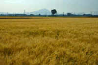 05-2019052406289-1.jpg (86758 �o�C�g)