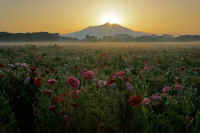 05-2019052506335-1.jpg (74726 �o�C�g)