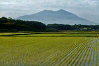 05-2022052808613-1-1.jpg (90840 �o�C�g)