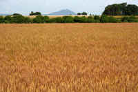 05-2023052603272-1-1.jpg (115308 バイト)