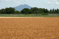 05-2023052603281-1-1.jpg (94743 �o�C�g)