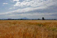 05-2024052507281.jpg (78870 �o�C�g)