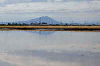 05-2024052507284.jpg (46367 バイト)