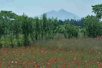 06-2013060100093-1.jpg (82888 �o�C�g)