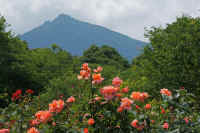 06-2015061104698-1.jpg (100370 �o�C�g)