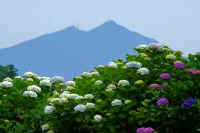 06-2017061906151-1-1.jpg (80609 �o�C�g)