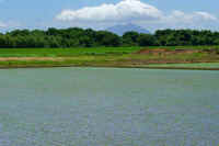 06-2018062900973-2.jpg (89450 バイト)