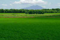 06-2018062900989-1.jpg (84757 �o�C�g)