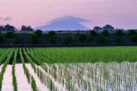 06-2019061406395-1-1.jpg (87579 �o�C�g)