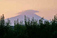 06-2019061406412-1-1.jpg (64438 バイト)